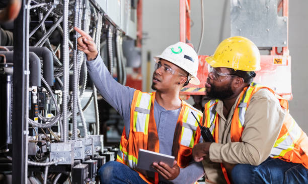 Best Electric Panel Repair  in Mount Ida, AR